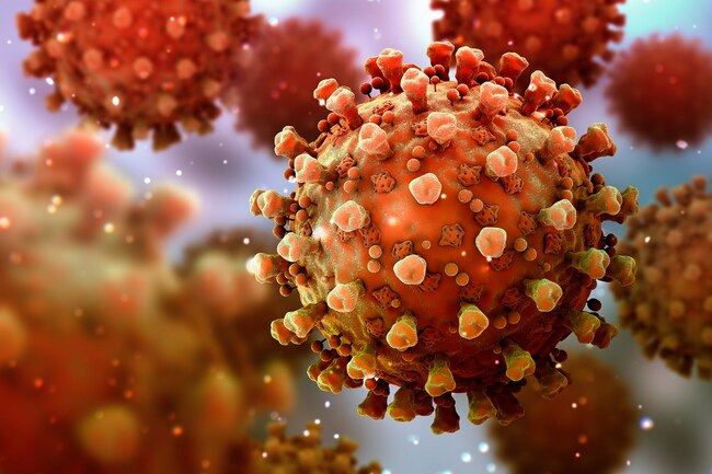 covid_19_virus covid_19_virus